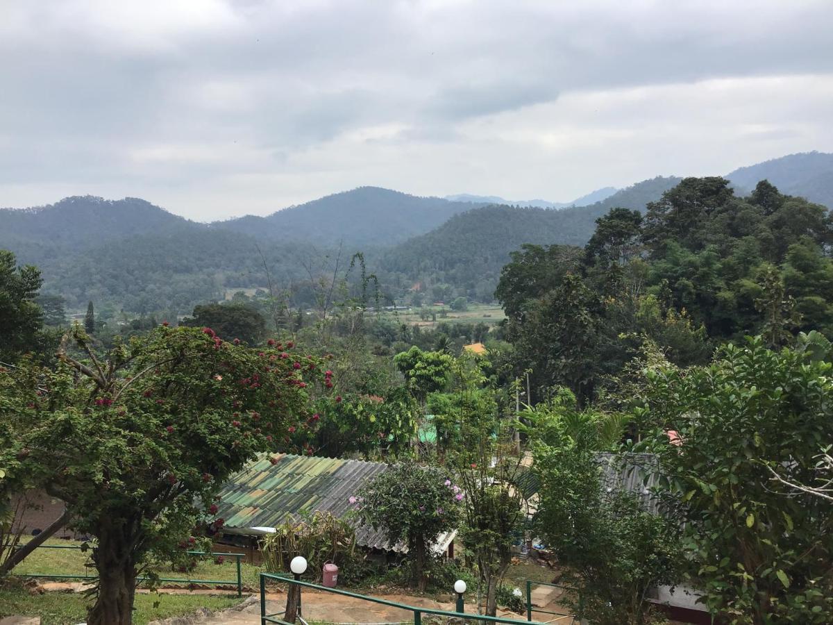 Forest Guesthouse Samoeng Buitenkant foto