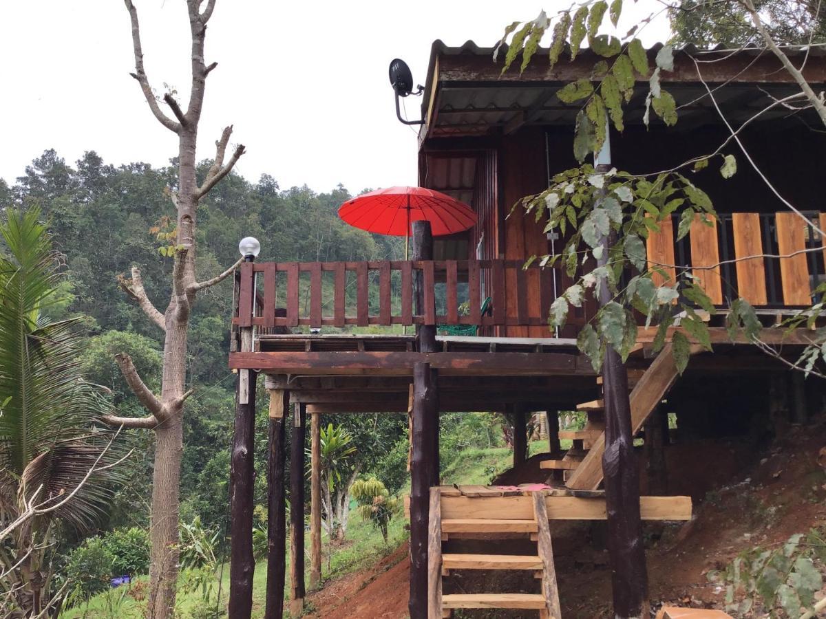 Forest Guesthouse Samoeng Buitenkant foto