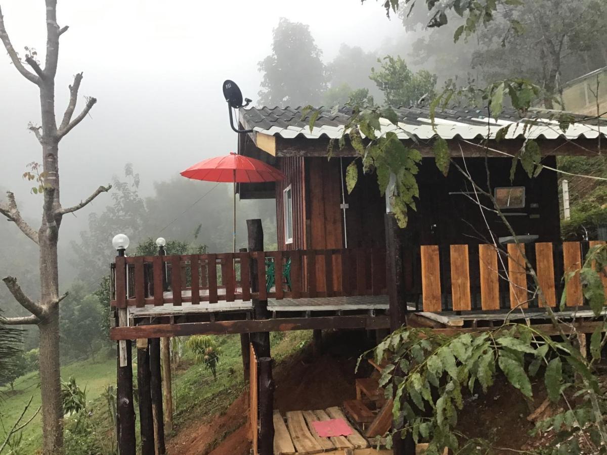 Forest Guesthouse Samoeng Buitenkant foto