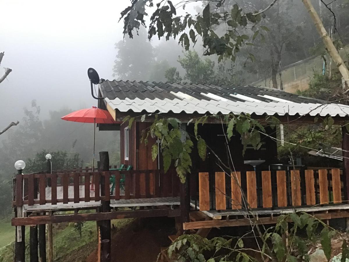 Forest Guesthouse Samoeng Buitenkant foto