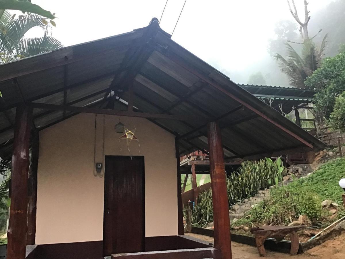 Forest Guesthouse Samoeng Buitenkant foto