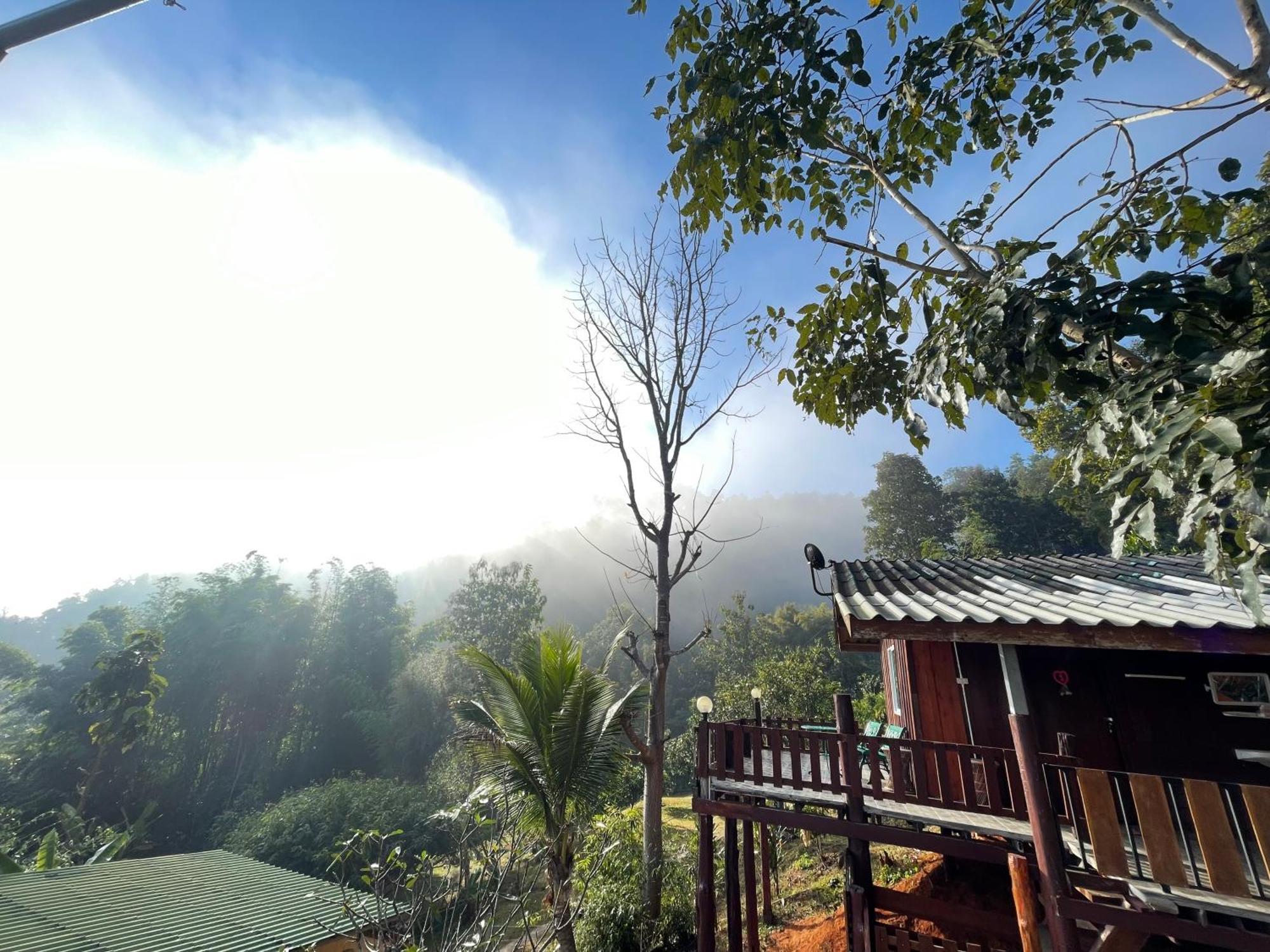 Forest Guesthouse Samoeng Buitenkant foto