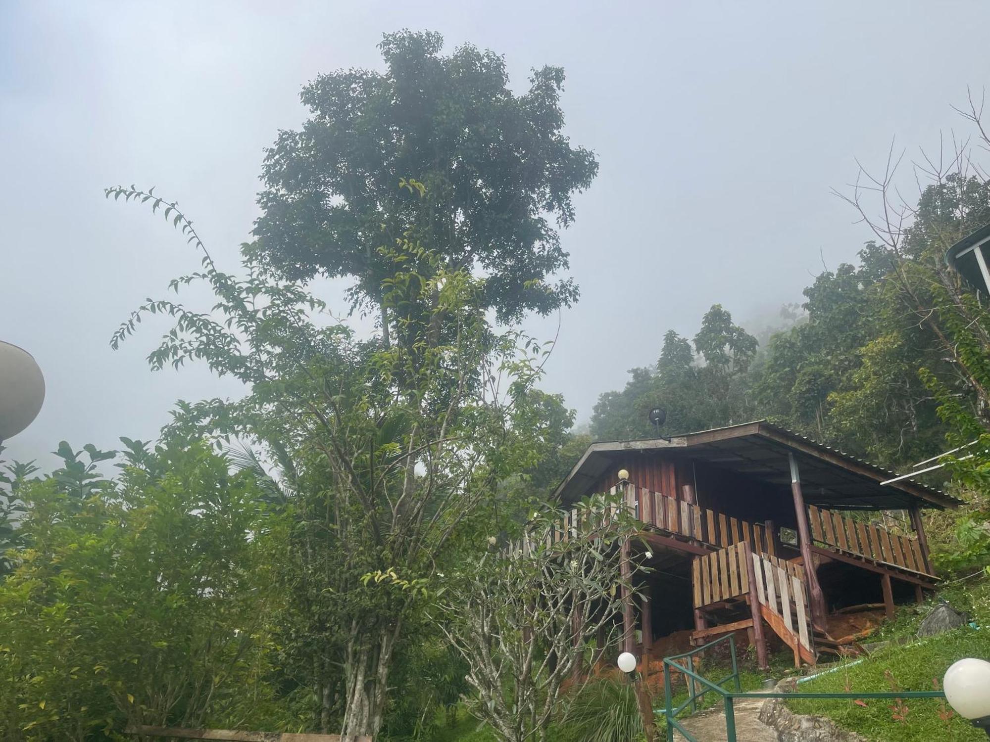 Forest Guesthouse Samoeng Buitenkant foto