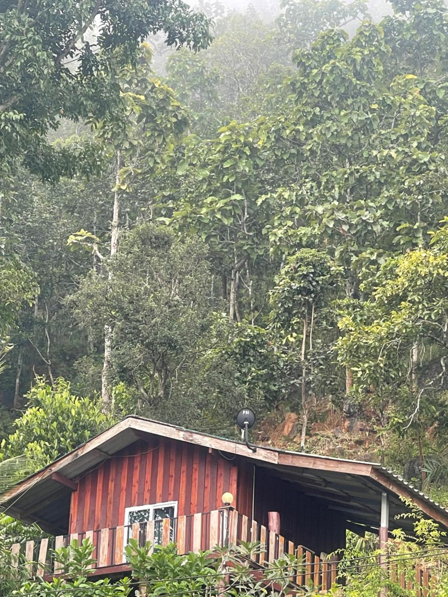 Forest Guesthouse Samoeng Buitenkant foto